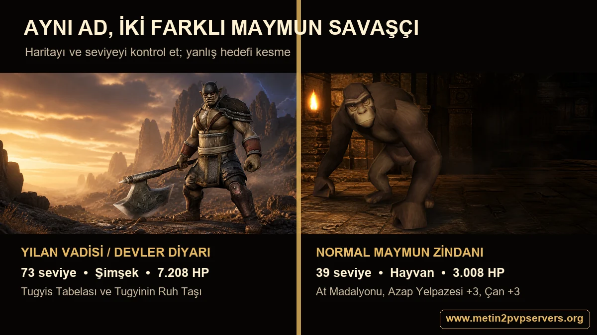 Metin2 73 seviye Maymun Savaşçı ile Normal Maymun Zindanı 39 seviye Maymun Savaşçı karşılaştırması