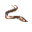 Zargana Metin2 icon PNG