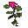 Gizemli Bitki Metin2 icon PNG