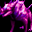Topluluk İkonu 25365fd1 Metin2 icon PNG