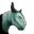 Topluluk İkonu 5898080e Metin2 icon PNG