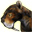 Topluluk İkonu c933e756 Metin2 icon PNG